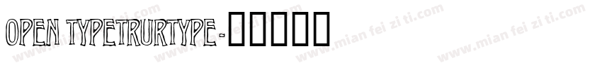 OPEN TYPETRURTYPE字体转换